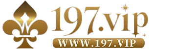 197vip11 com